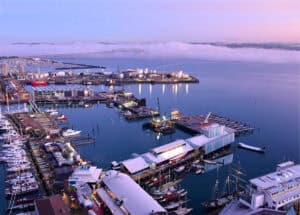 Aerial view of Auckland’s waterfront at sunset, showing marinas filled with boats, modern harbourfront buildings, and cranes along the docks. A low layer of fog drifts across the harbour toward the Auckland Harbour Bridge, while soft pink and purple hues reflect on the calm water.